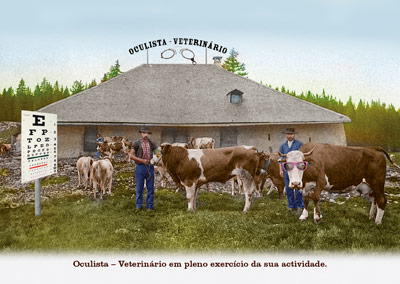Oculista – Veterinário em pleno exercício da sua actividade.