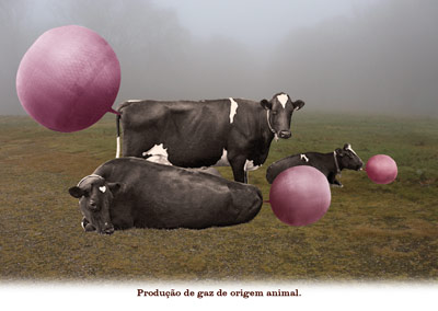 Produção de gaz de origem animal.